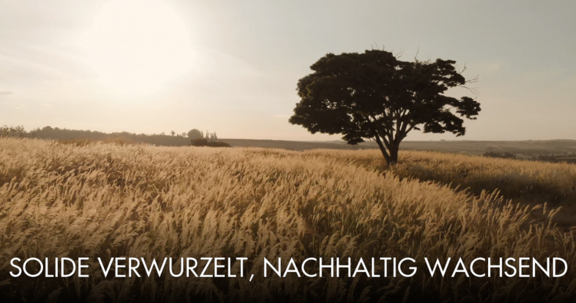 Baum2